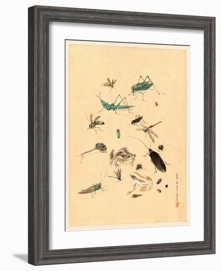 Frogs Snails and Insects-null-Framed Giclee Print