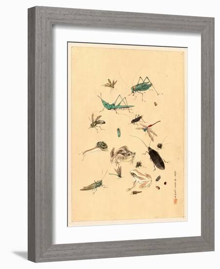 Frogs Snails and Insects-null-Framed Giclee Print