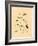 Frogs Snails and Insects-null-Framed Giclee Print