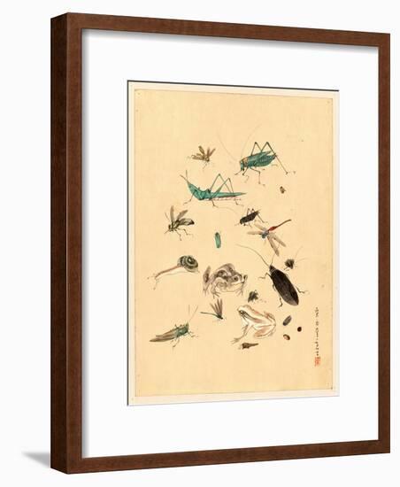Frogs Snails and Insects-null-Framed Giclee Print