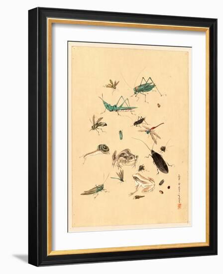 Frogs Snails and Insects-null-Framed Giclee Print