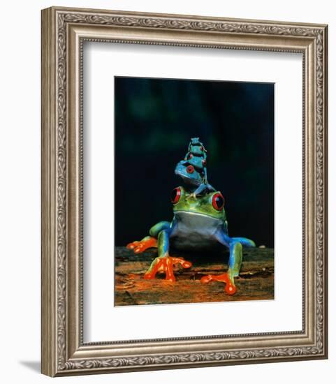 Frogs-null-Framed Art Print