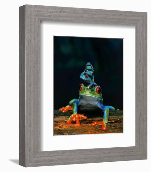 Frogs-null-Framed Art Print