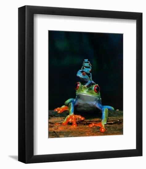 Frogs-null-Framed Art Print