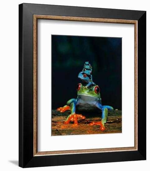 Frogs-null-Framed Art Print