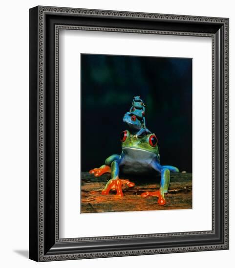 Frogs-null-Framed Art Print