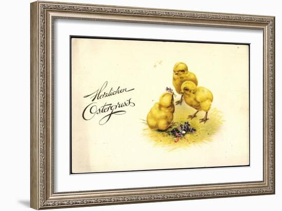 Frohe Ostern, Drei Küken, Vergissmeinnicht-null-Framed Giclee Print