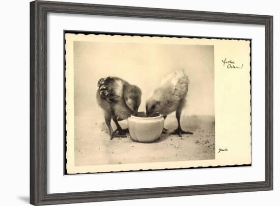 Frohe Ostern, Küken Trinken Aus Wasserschale, Amag-null-Framed Giclee Print