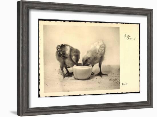 Frohe Ostern, Küken Trinken Aus Wasserschale, Amag-null-Framed Giclee Print