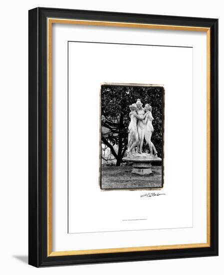 Frolic-Laura Denardo-Framed Art Print