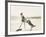 Frolicking on the Beach-null-Framed Photo