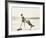Frolicking on the Beach-null-Framed Photo