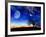 From Earth Looking Out Into The A Surreal Night Starry Sky-Vicki France-Framed Art Print