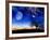 From Earth Looking Out Into The A Surreal Night Starry Sky-Vicki France-Framed Art Print