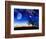 From Earth Looking Out Into The A Surreal Night Starry Sky-Vicki France-Framed Premium Giclee Print