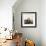 From Gardner Photographic Art Gallery-null-Framed Giclee Print displayed on a wall