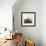 From Gardner Photographic Art Gallery-null-Framed Giclee Print displayed on a wall