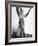 From Here to Eternity, Deborah Kerr, 1953-null-Framed Photo