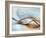 From Here to Eternity-Ursula Abresch-Framed Photographic Print