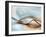 From Here to Eternity-Ursula Abresch-Framed Photographic Print