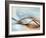 From Here to Eternity-Ursula Abresch-Framed Photographic Print