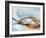 From Here to Eternity-Ursula Abresch-Framed Photographic Print