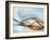 From Here to Eternity-Ursula Abresch-Framed Photographic Print