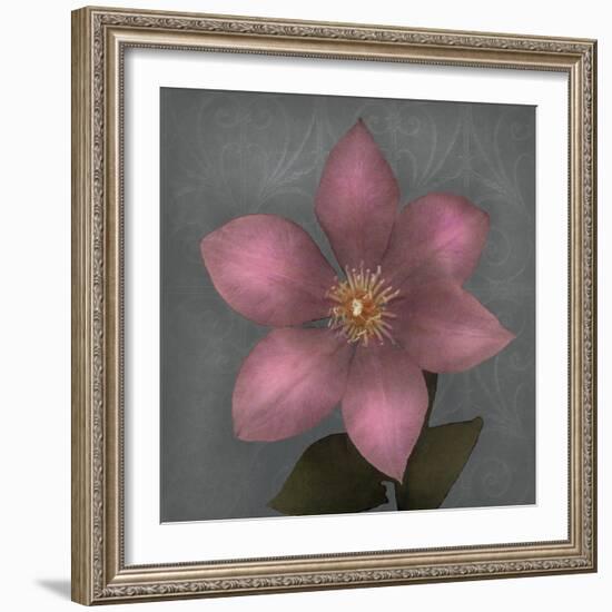 From My Garden 1-Gray-Julie Greenwood-Framed Art Print