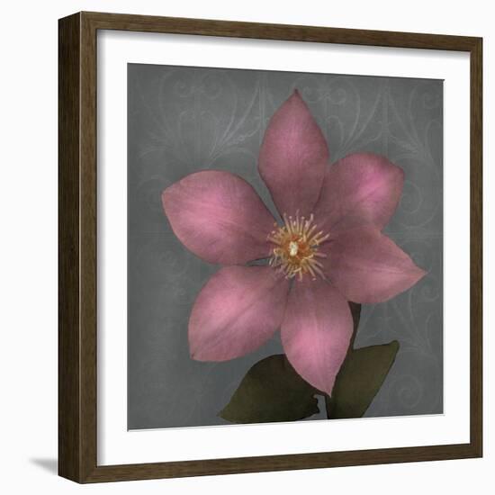 From My Garden 1-Gray-Julie Greenwood-Framed Art Print