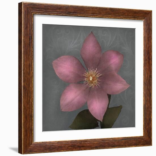 From My Garden 1-Gray-Julie Greenwood-Framed Art Print