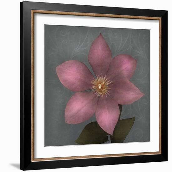 From My Garden 1-Gray-Julie Greenwood-Framed Art Print