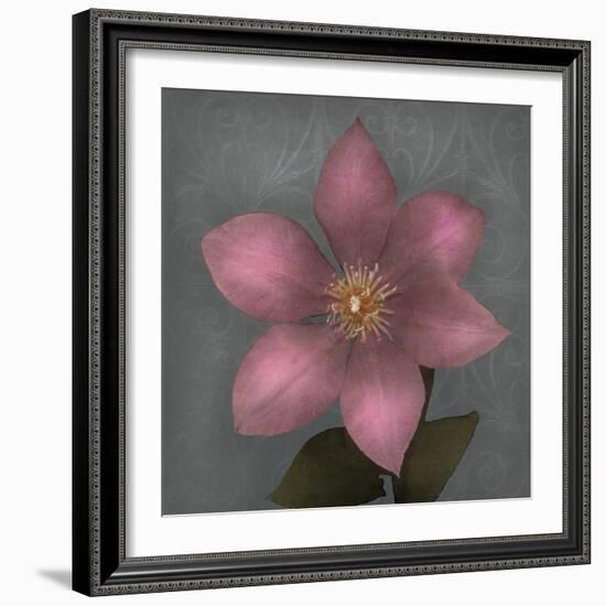 From My Garden 1-Gray-Julie Greenwood-Framed Art Print