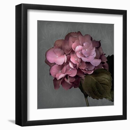 From My Garden 2-Gray-Julie Greenwood-Framed Art Print