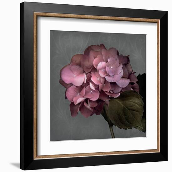 From My Garden 2-Gray-Julie Greenwood-Framed Art Print