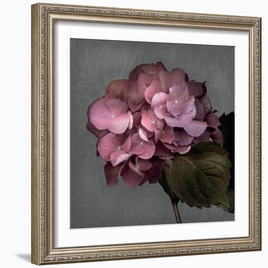 From My Garden 2-Gray-Julie Greenwood-Framed Art Print