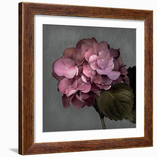 From My Garden 2-Gray-Julie Greenwood-Framed Art Print