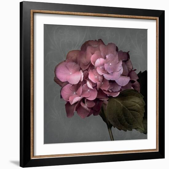 From My Garden 2-Gray-Julie Greenwood-Framed Art Print