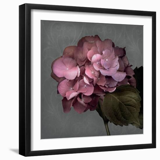 From My Garden 2-Gray-Julie Greenwood-Framed Art Print