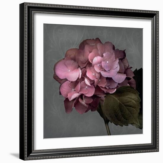 From My Garden 2-Gray-Julie Greenwood-Framed Art Print