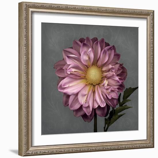 From My Garden 3-Gray-Julie Greenwood-Framed Art Print