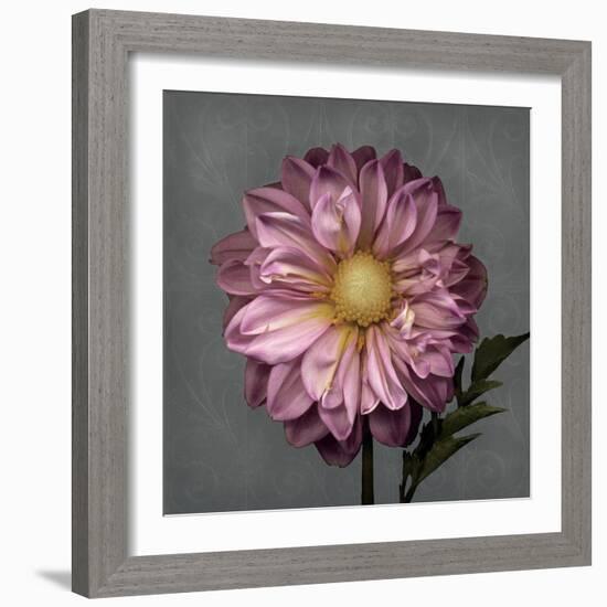 From My Garden 3-Gray-Julie Greenwood-Framed Art Print