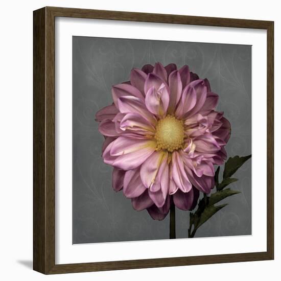 From My Garden 3-Gray-Julie Greenwood-Framed Art Print