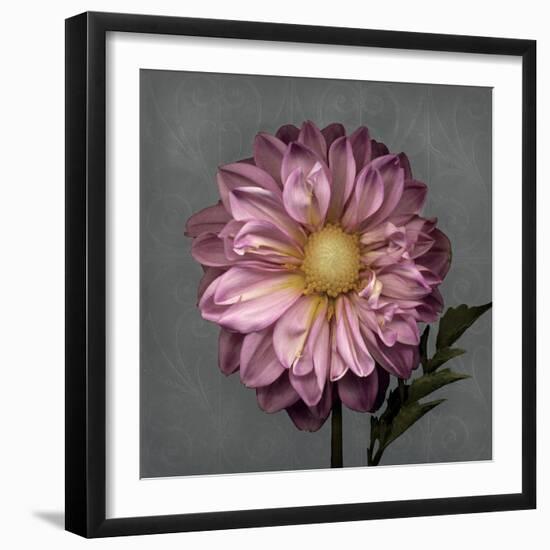 From My Garden 3-Gray-Julie Greenwood-Framed Art Print