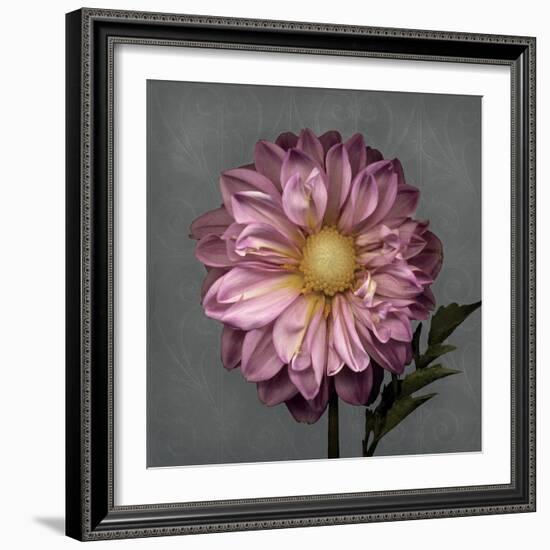 From My Garden 3-Gray-Julie Greenwood-Framed Art Print