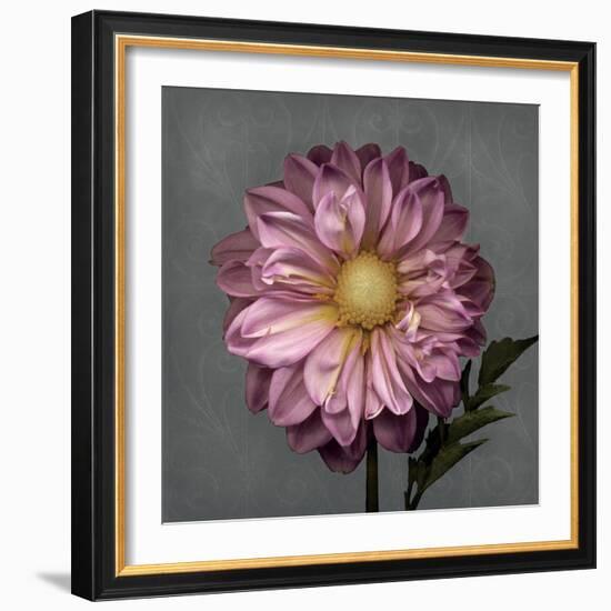 From My Garden 3-Gray-Julie Greenwood-Framed Art Print