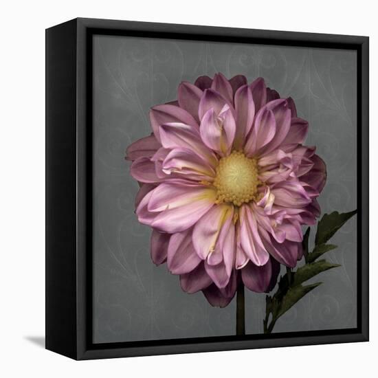 From My Garden 3-Gray-Julie Greenwood-Framed Stretched Canvas