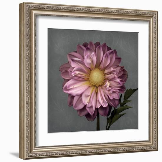 From My Garden 3-Gray-Julie Greenwood-Framed Art Print