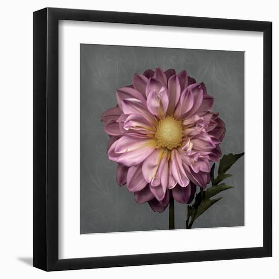 From My Garden 3-Gray-Julie Greenwood-Framed Art Print