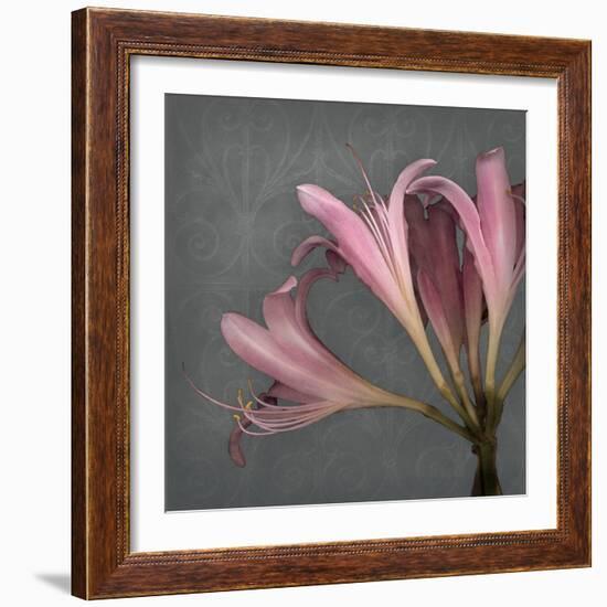 From My Garden 4-Gray-Julie Greenwood-Framed Art Print