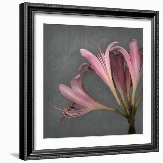 From My Garden 4-Gray-Julie Greenwood-Framed Art Print